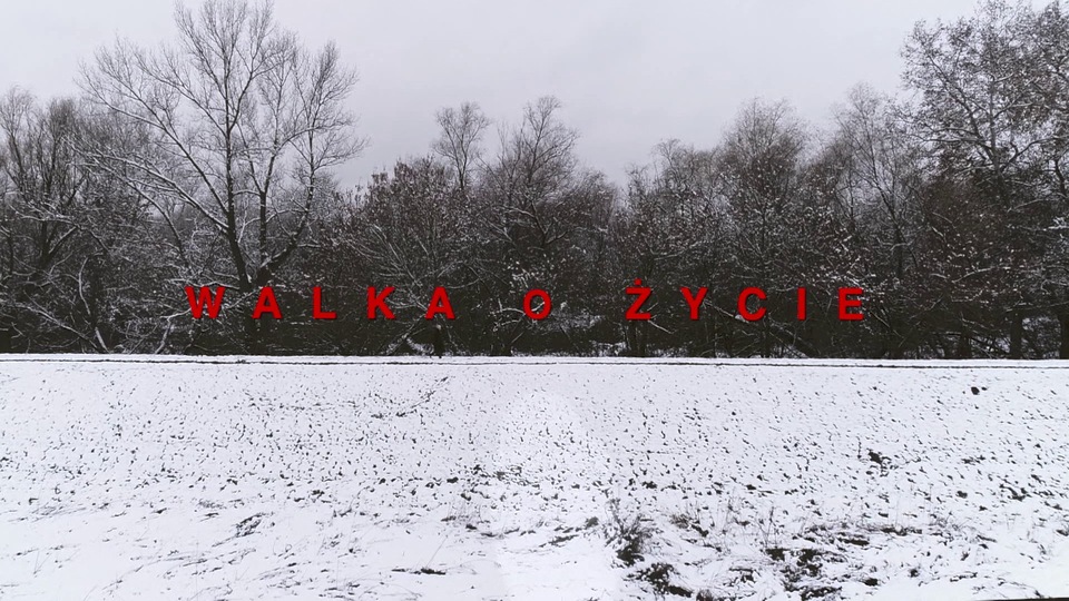 Walka o życie