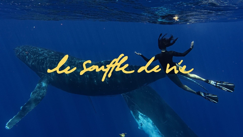 Dokument Le souffle de vie