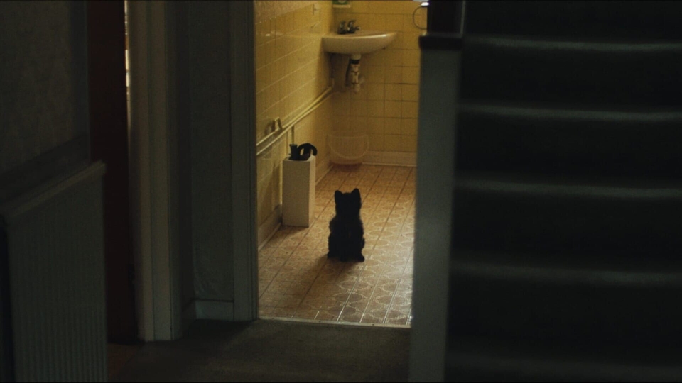 Film Good Boy