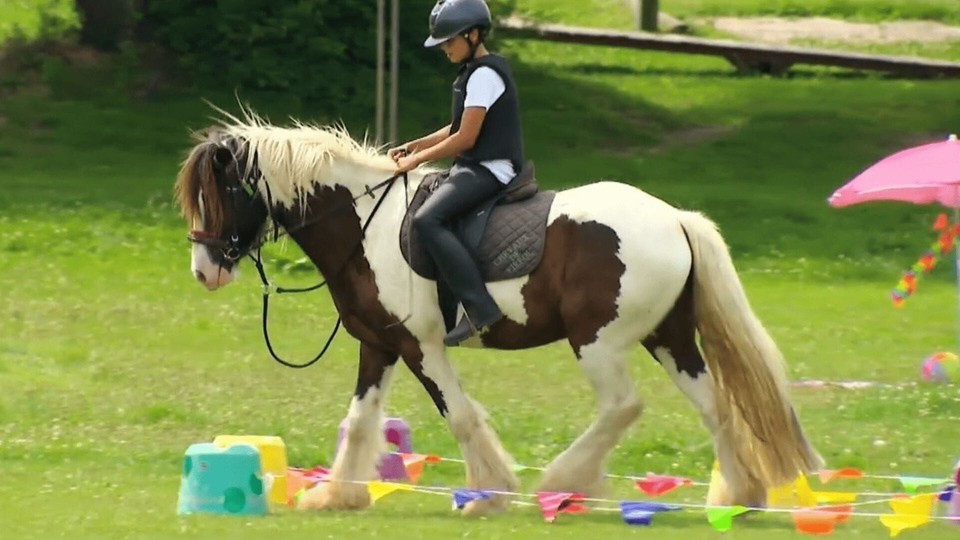 Dokument Au galop !