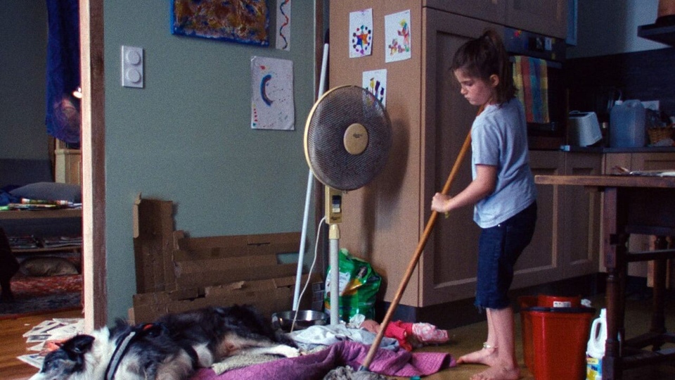 Film Assis, pas bouger !